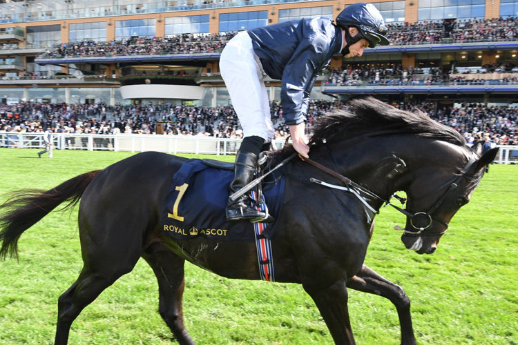 the cliffsofmoher pre-race warming up on 20 jun, 2018