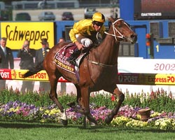 Northerly - 2000 Railway Stks winner