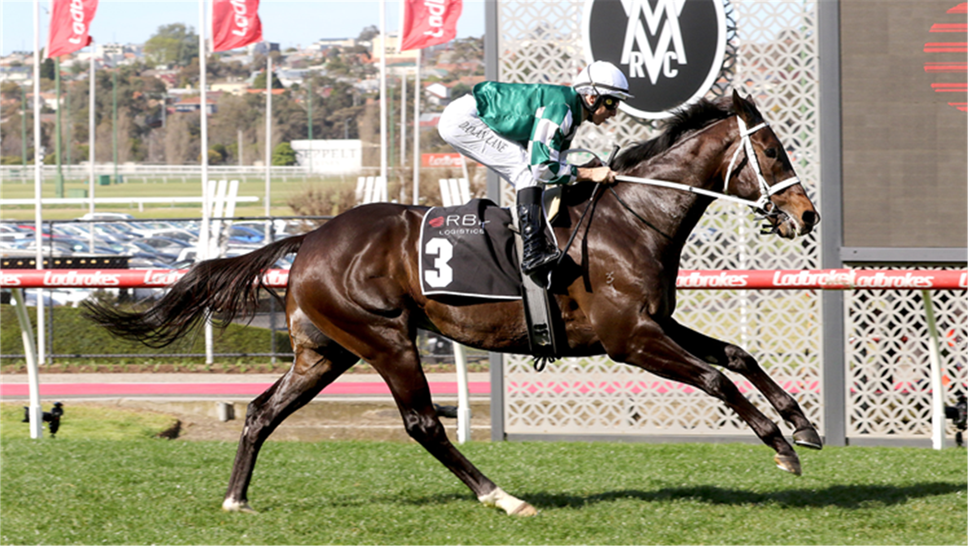 Bsport Guru - Khám Phá Bí Quyết Chinh Phục Thế Giới Thể Thao