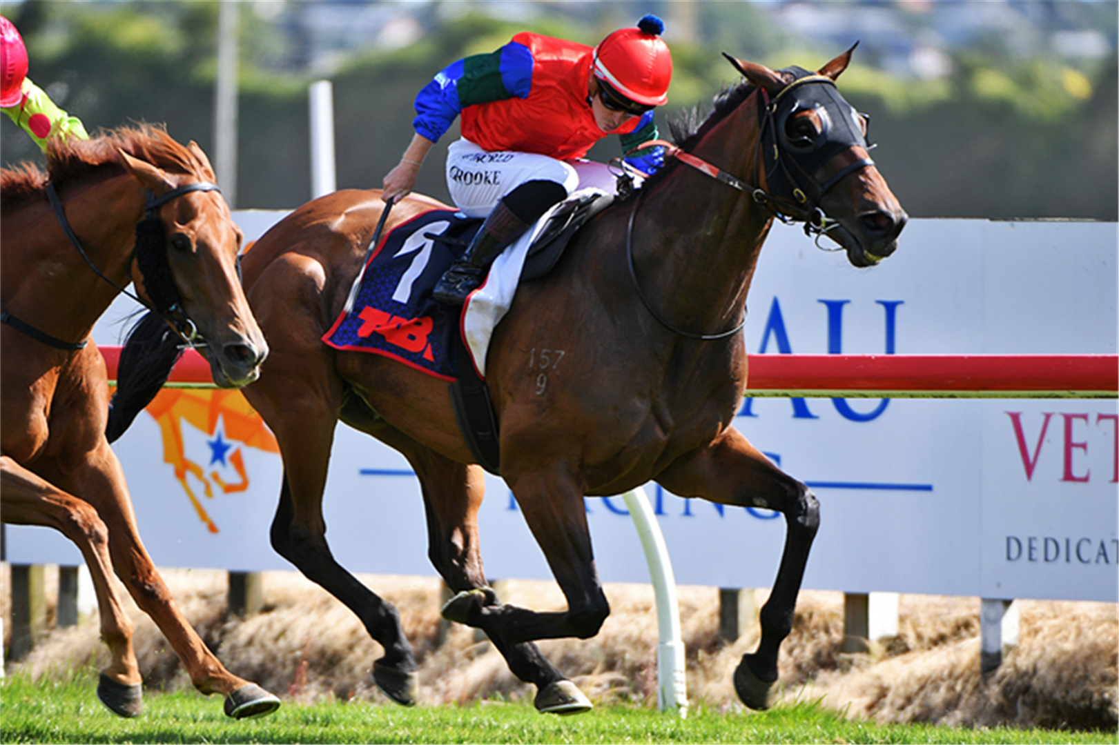 Sharp ‘N’ Smart Takes Waikato Cup In Thrilling Finish | Racing and Sports