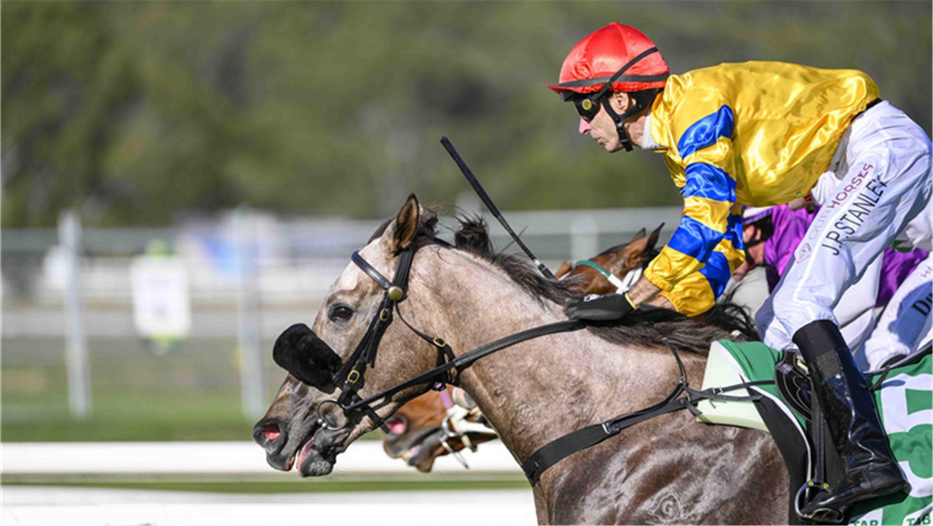 Kohler Kid Wins Group 3 Tab Birthday Stakes: Post Race Trainer And ...