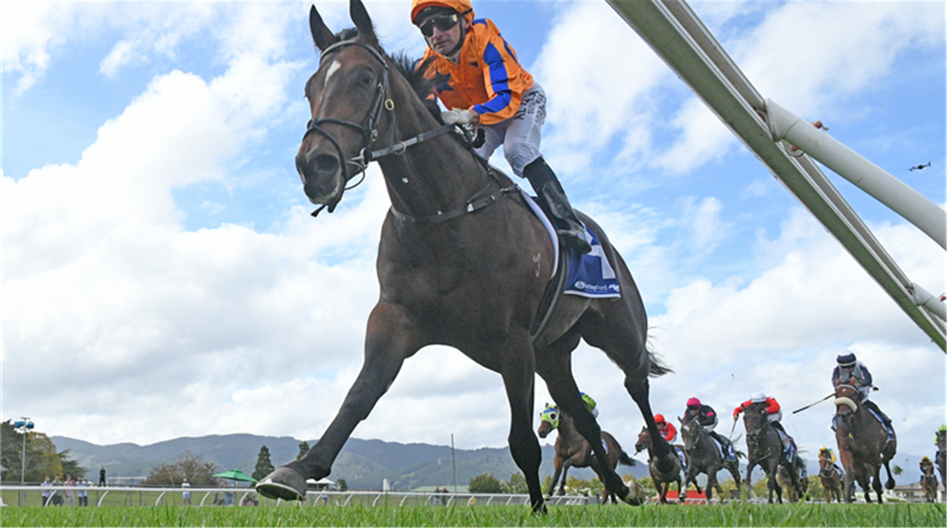 Seize The Day Progressing Nicely Towards Australian Debut | Racing and ...