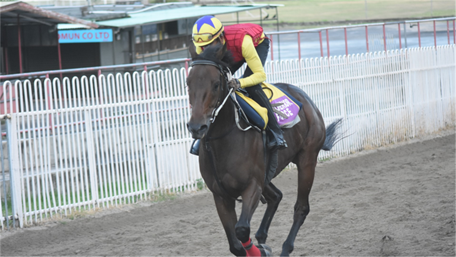 The Lull Before The Big Push | Racing and Sports