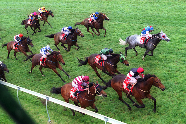 Straight Six Day at Flemington