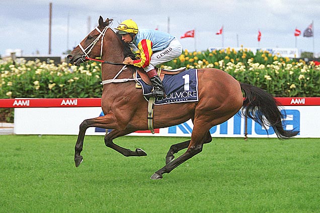 Sunline was the best Coolmore Classic winner