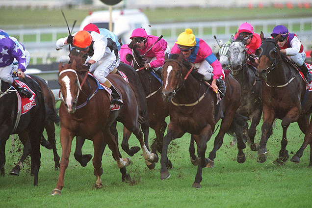 Show A Heart and Falvelon were star Qlders