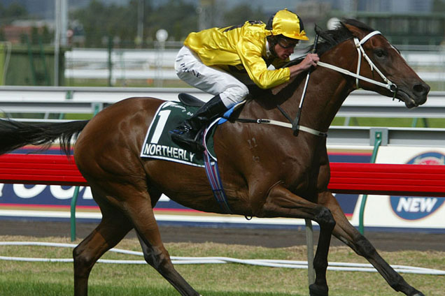 The all time great Northerly made his first splash in the Railway