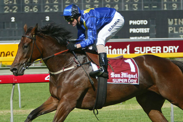 Private Steer winning the James H.B. Carr Stks