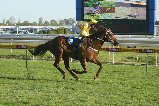 Thorn Park winning the Farewell To Northerly Stks