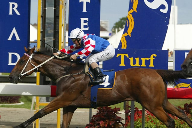 2004 Magic Millions Winner Dance Hero