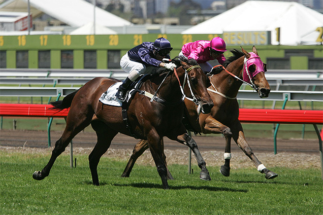 Fastnet Rock winning the L'oreal Paris Plte Fastnet Rock winning the L'oreal Paris Plte