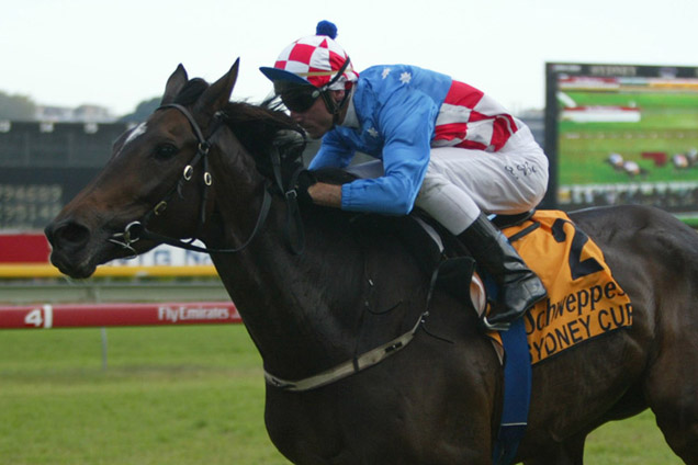 Makybe Diva won a Sydney Cup between her Melbourne Cups