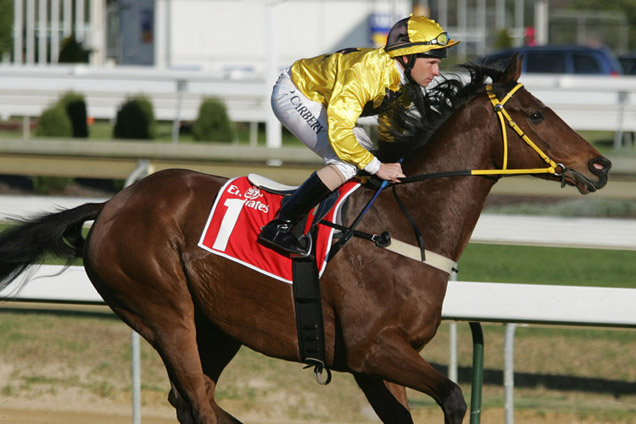 Railway Racing 2022 Railway Stakes: Race History | Racing and Sports