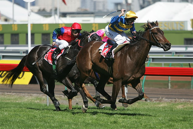 Plastered winning the A A M I - Victoria Derby