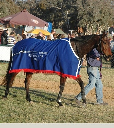 Read The Book, sashed after winning the Country Style Queanbeyan Cup