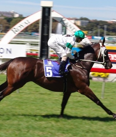 Lucida heading to the barrier before the running of the Meriton Serv. Apartments Plate