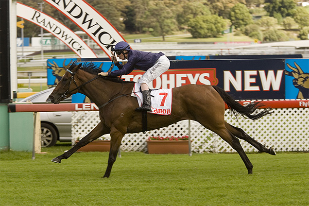 Aqua D'amore did a famous double in 2005