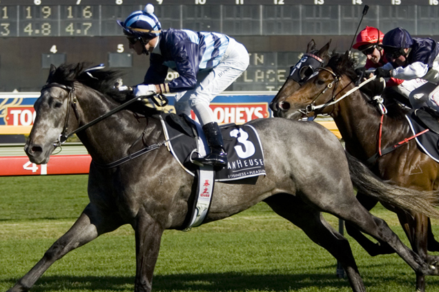 2006 Epsom Winner Racing To Win