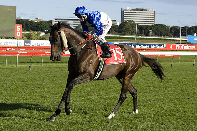 Casino Prince running in the Emirates Doncaster Hcp