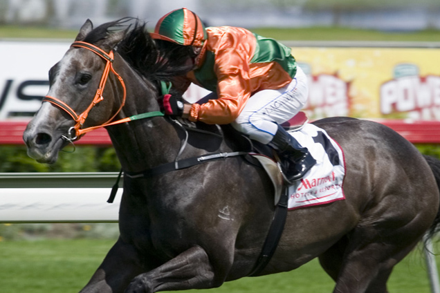 Gold Edition winning the Marriott Light Fingers Stks