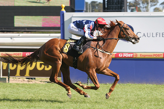 Serious Speed winning the Schweppes - Thousand Guineas