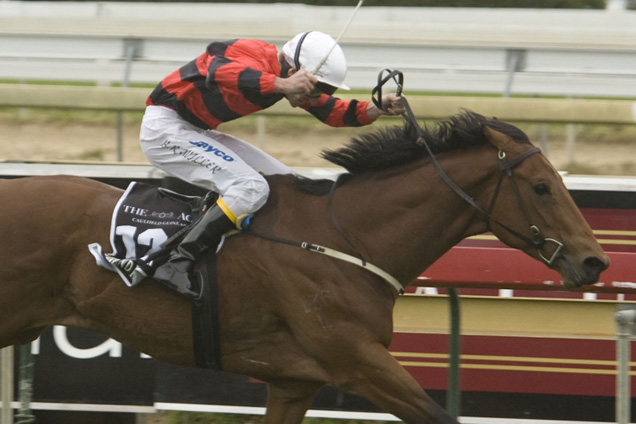 Weekend Hussler was a great 3yo Oakleigh Plate winner