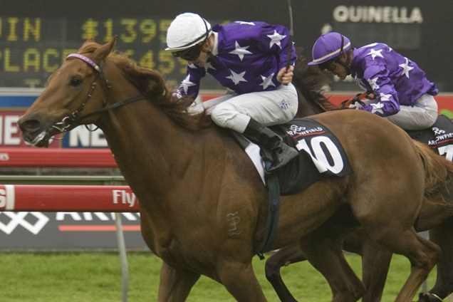 Theseo overcame barrier 18 to win the Epsom Handicap.