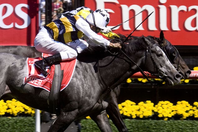 Viewed winning the Emirates Melbourne Cup