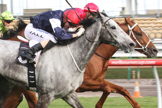 Efficient winning the Turnbull Stakes