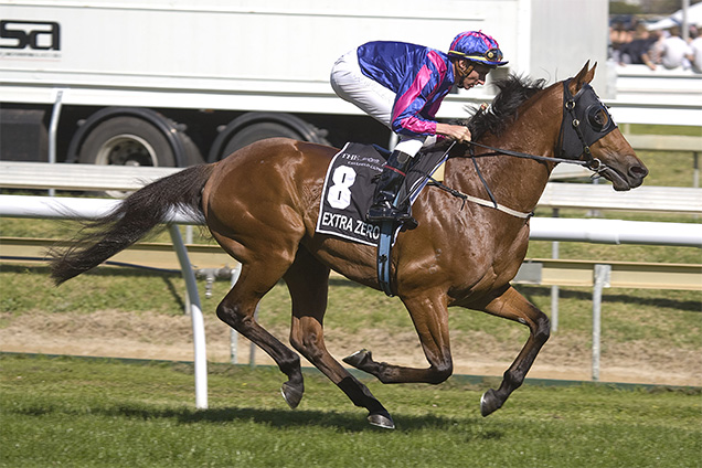 Extra Zero running in the The Age Caulfield Guineas Extra Zero running in the The Age Caulfield Guineas