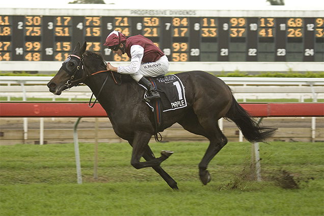 Purple winning the Qld Oaks