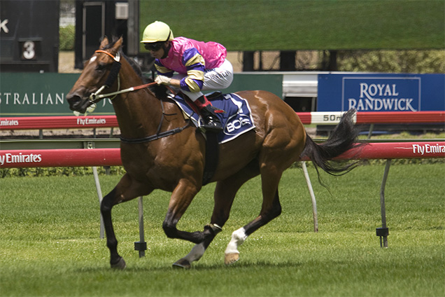 Real Saga horse racing form guide | Racing and Sports