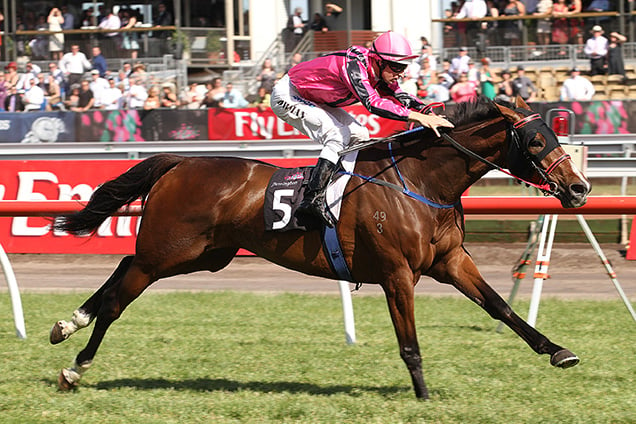 Sterling Prince winning the Queen Elizabeth Stakes