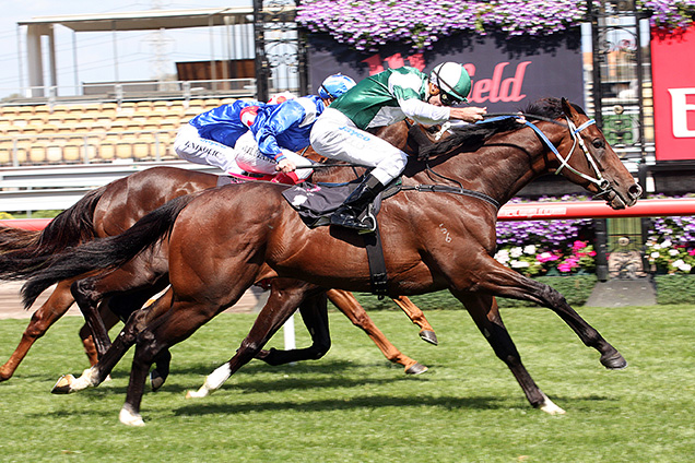 Tickets winning the Westfield Doncaster Stakes