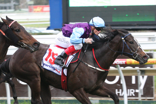 Velocitea winning the How Now Stakes