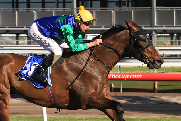 Gathering winning the Herald Sun Superstable Stakes