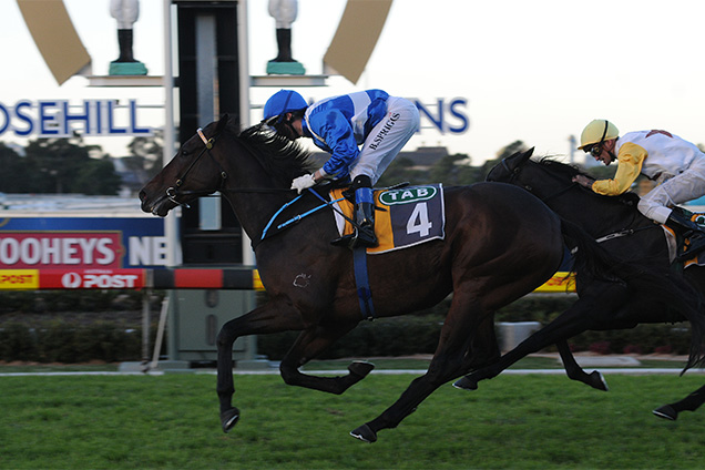 Ironstein has plenty against him in the Ipswich Cup on Saturday