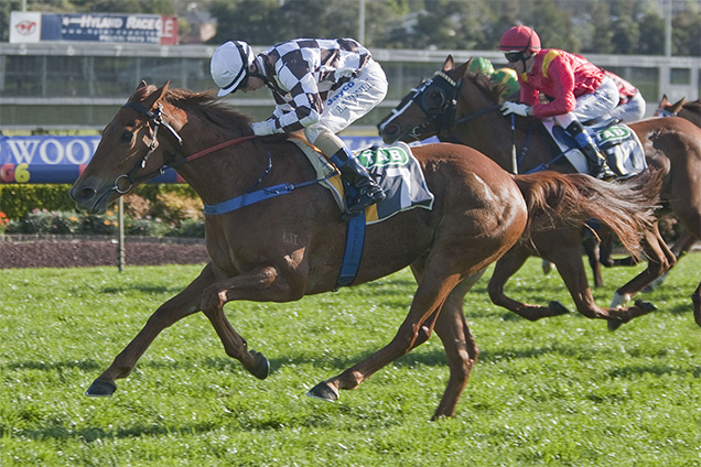 2011 Epsom Winner Secret Admirer