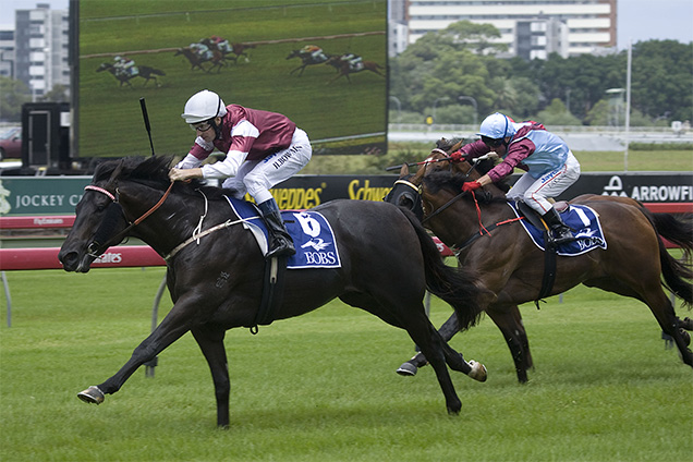 Skilled winning the Pagewood Hcp