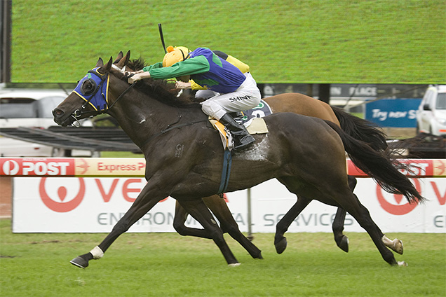 Tagus winning the Protect The Hunter Valley Hcp