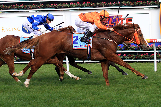 Toorak Toff winning the Lister Diesel Eng. Vain Stakes