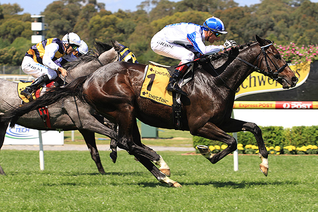 2010 Geelong Cup winner Americain