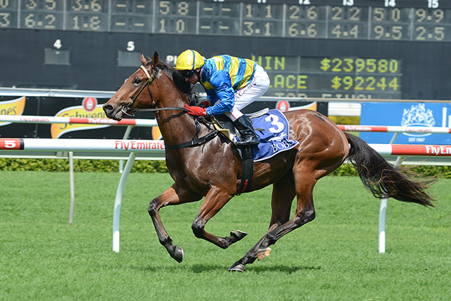 Amorino is expected to make his presence felt on debut for the Grant Williams stable