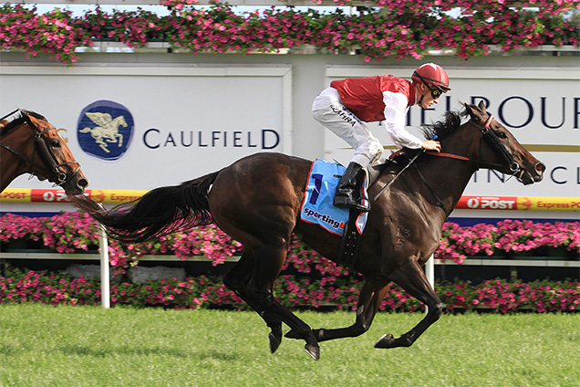 Beaded winning the Hyderabad Race Club Stakes