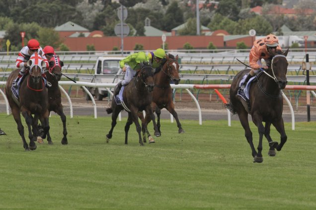 Black Caviar Black Caviar
