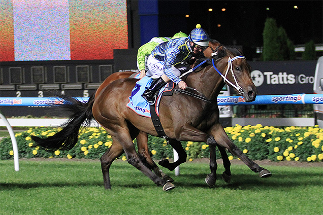 2023 Australasian Oaks: Race History | Racing and Sports