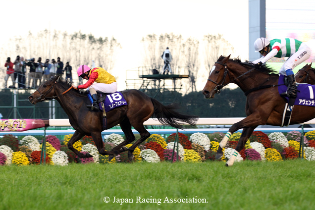 Snow Fairy winning the THE QUEEN ELIZABETH 2 COMMEMORATIVE CUP(G1)