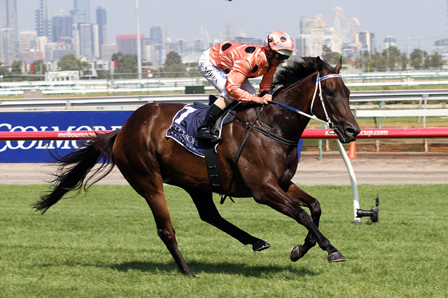 The great mare Black Caviar owned the Lightning