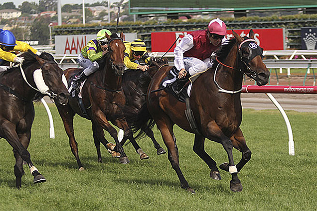 Gig winning the Fiesta Star Hcp (78)