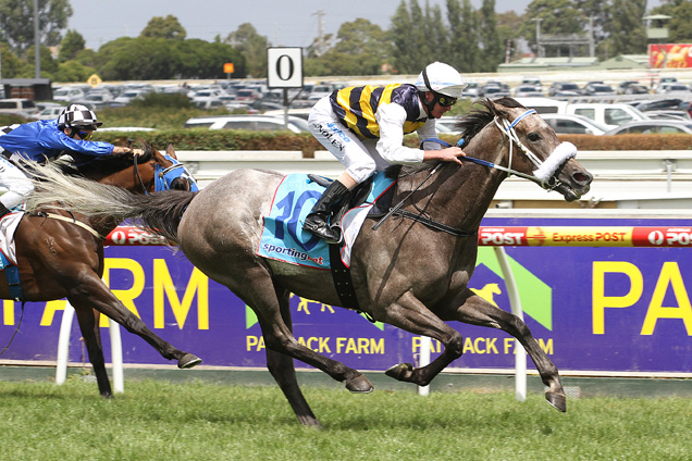 Manighar winning the Catanach's T.S. Carlyon Cup